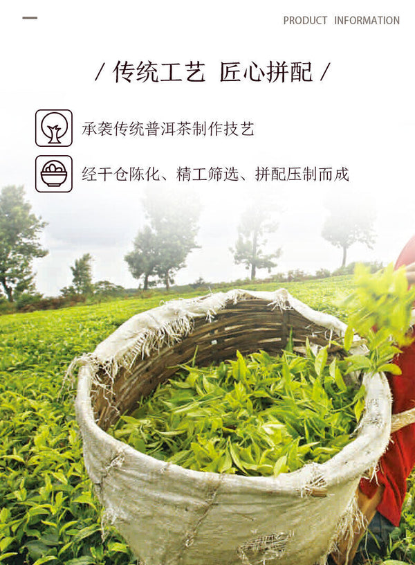 Old Tree Chunqiu San Hao Raw Pu-erh Sheng Cha 357g Zhongcha Pu'er Puer Tea