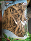 Morinda officinalis 巴戟天 Dried herb