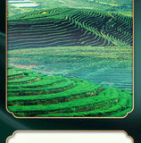 CHINA TEA Black Tea No.1 Yunnan FengQing Dianhong Dian Hong Tea 300g