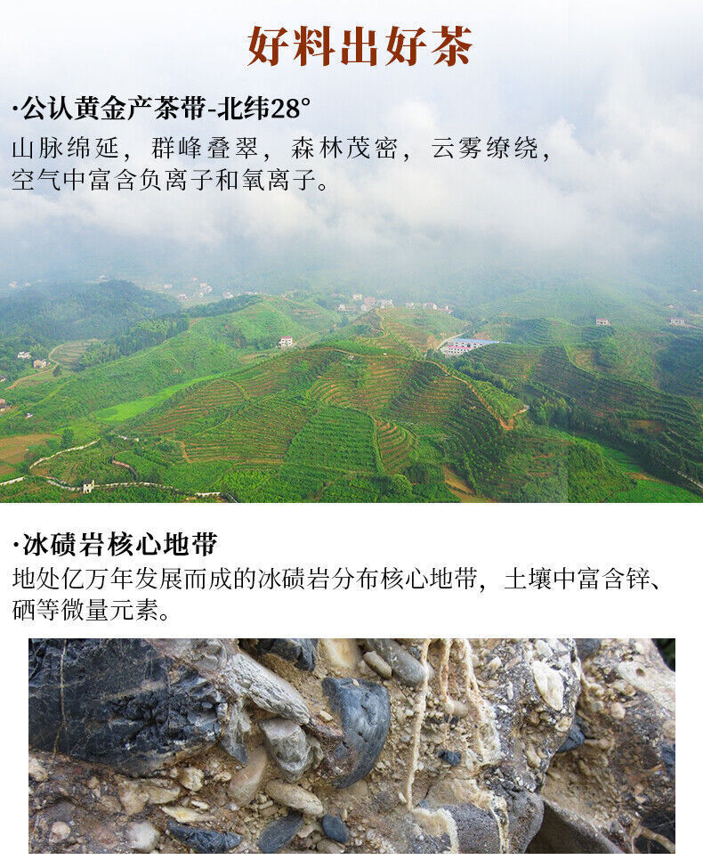 Fucha Anhua Dark Tea Fu Brick 240g Hunan Baishaxi Direct Drinking Brick Tea