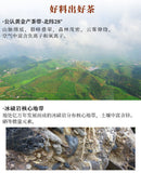 Fucha Anhua Dark Tea Fu Brick 240g Hunan Baishaxi Direct Drinking Brick Tea
