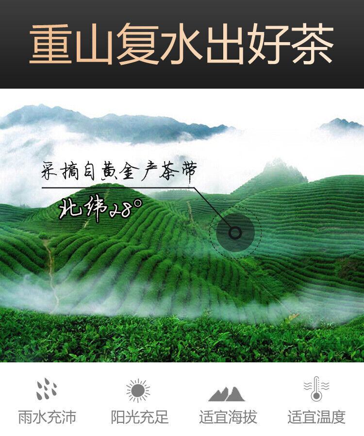 TeaHu Nan Baishaxi Instant Assorted Black Tea Brick Anhua Dark Tea Fu Cha 240g