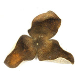 Chinese Green XinHui "Chen Pi" Dried Tangerine Peel Orange Peel Tea 50g