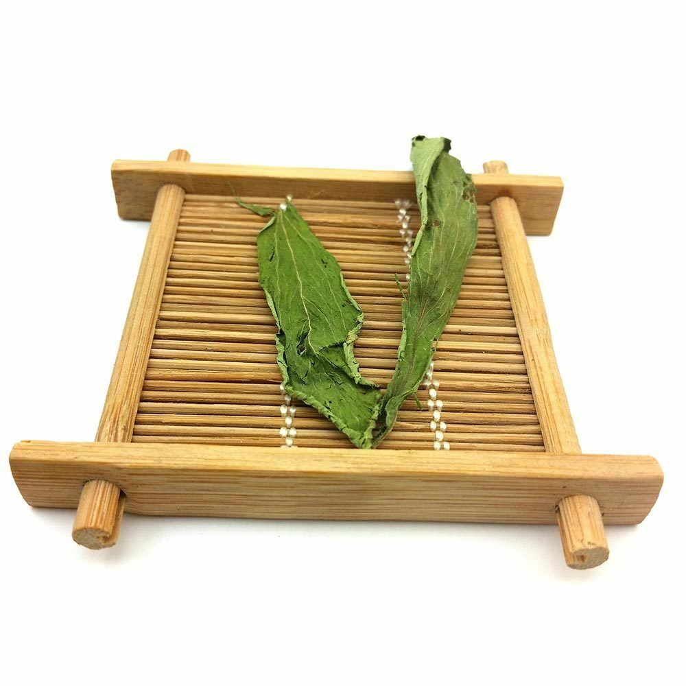 Stevia Leaf Herbal Tea, Good for Weight Loss and Control Blood Pressure Secondary image