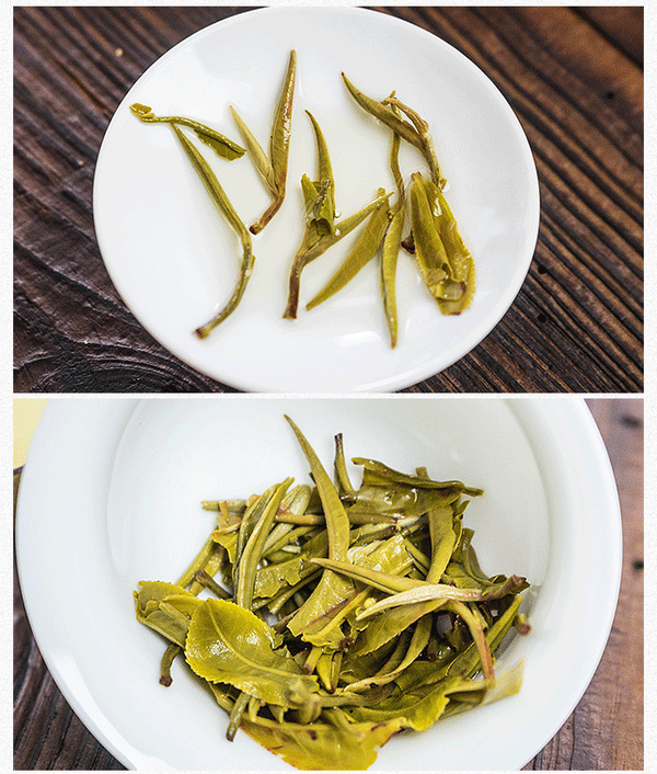 Dian Lv Silver Tips Yunnan Green Tea Supreme Organic Early Spring Snowy Mountain