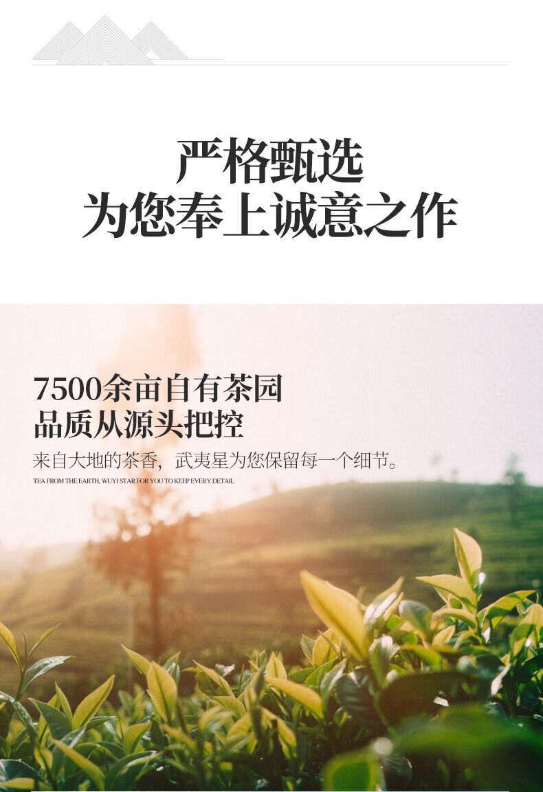 WuyiStar Rougui Rou Gui Oolong Fujian Wuyi Mountain Rock Tea YanCha 100g Bag