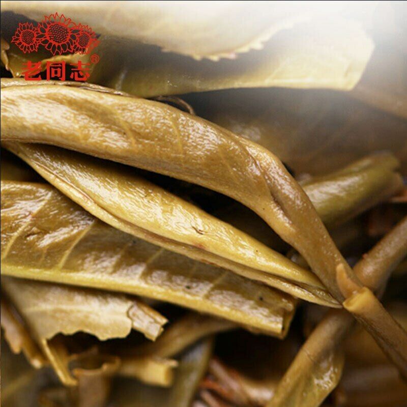 Haiwan Pa Sha Ancient Tree Raw Puer Tea Aged Tree Sheng Puerh Tea 500g