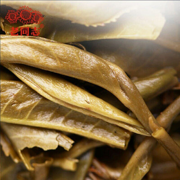 Haiwan Pa Sha Ancient Tree Raw Puer Tea Aged Tree Sheng Puerh Tea 500g