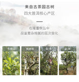 CHEN XIANG Mini Tuo Cha Haiwan Old Comrade Premium Puer Pu-erh Tea Ripe Pu'er