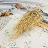 250g Chinese Herb Wild-Ginger Chinese Specialty 100% Natural Top-grade Xi Xin