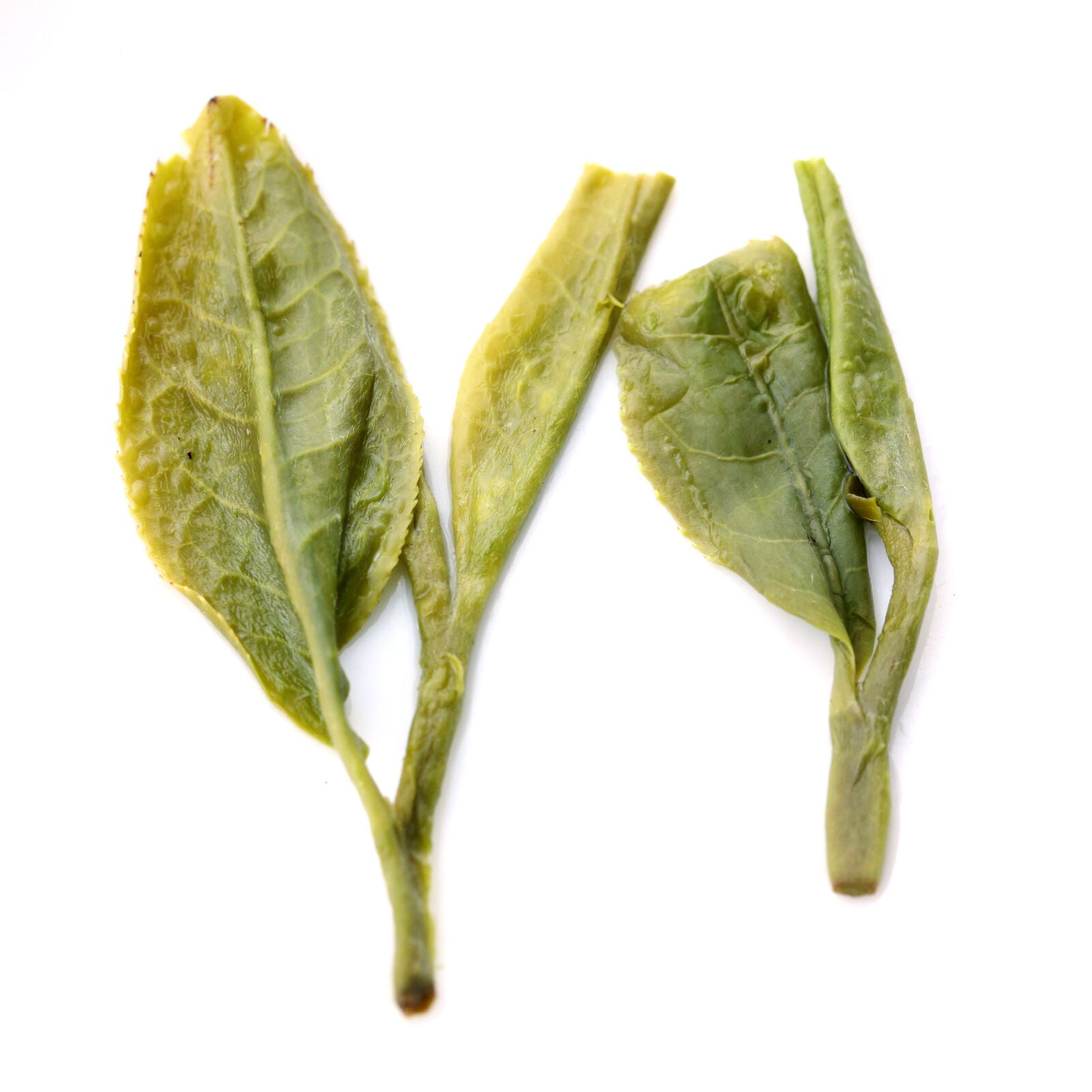 HELLOYOUNG Supreme Xihu Longjing Dragon Well Chinese Green Tea Spring Loose Leaf