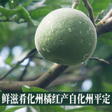 100g Huazhou Orange-red Aging Slices Chinese Hua Zhou Ju Hong
