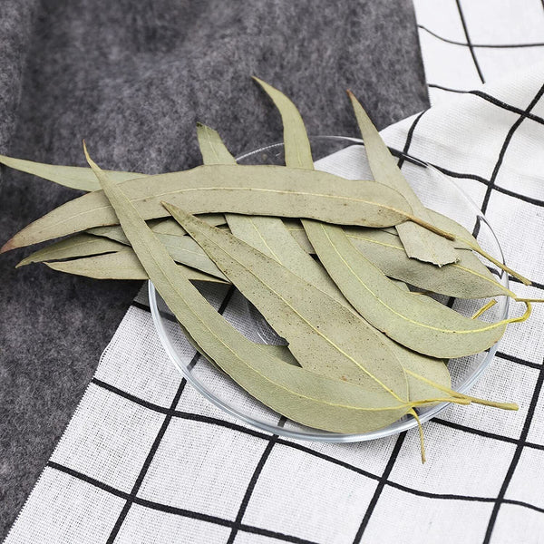 FullChea Dried Eucalyptus Leaves 114g Hojas de Eucalipto Herb Whole Leaf
