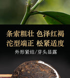 DALI Tuocha Yunnan Xiaguan Shu Pu-erh Tea Pu'er Ripe Puer Tea 100g Boxed