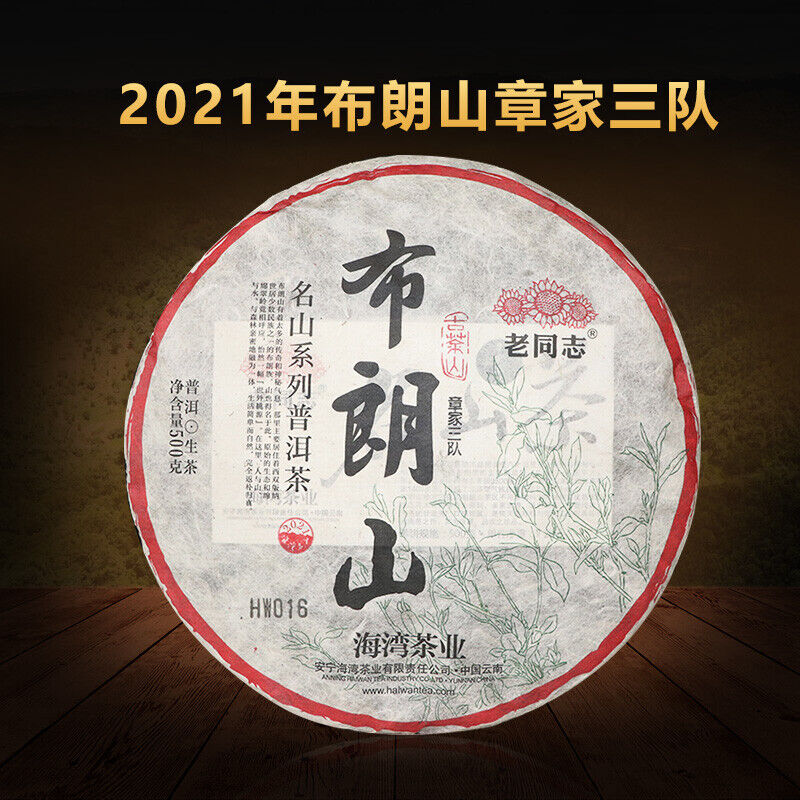 Haiwan Zhang Jia San Dui Puer Raw Tea Bulang Famous Mountain Aged Tree 500g