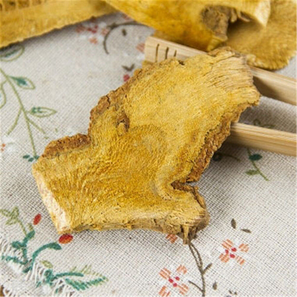 100%Natural Knotweed Fallopia Japonica Polygoni Cuspidati HuZhang Chinese Herbal