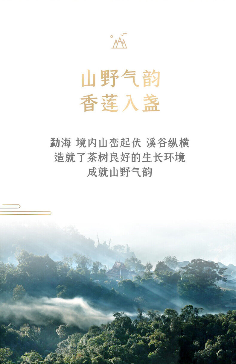 CHINATEA Brand Jin Hao Yu Lian Pu-erh Tea Cake 357g Ripe Palace Pu'er 357g