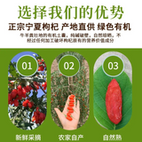 New organic natural Chinese wolfberry fruit tea Ningxia Lychee 17.6oz