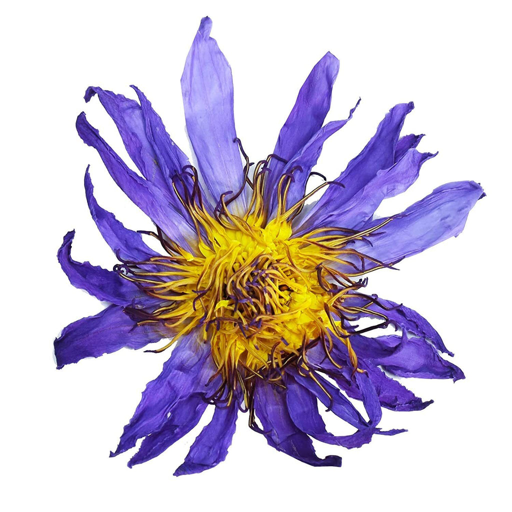 FullChea Premium Egyptian Whole Flower - 1oz/30g - Whole Flower Herbal Tea