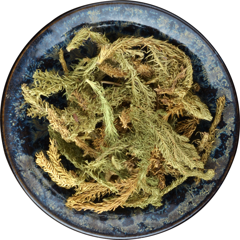 New Organic Shenjincao Organic Herbal Drink Tendongrass Natural Herbal Tea 500g
