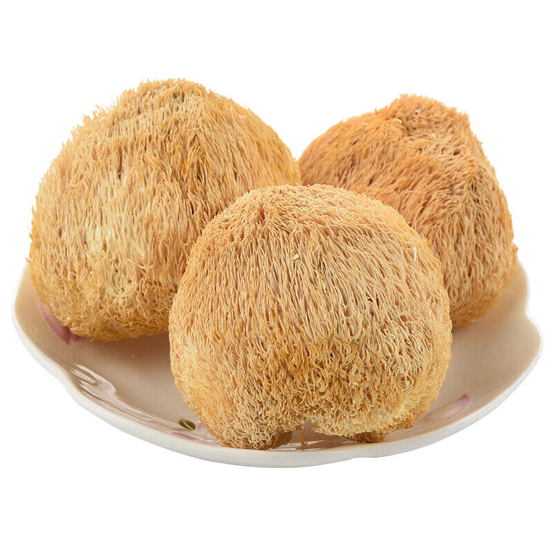 Original Houtougu China Herbal Health Care250g Organic Dried Hericium Erinaceus