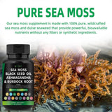 Certified Organic Sea Moss Capsules Irish Sea Moss Bladderwrack Burdock Root