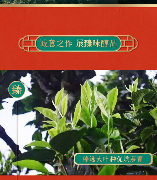 CHINATEA Brand Jin Hao Yu Lian Pu-erh Tea Cake 357g Ripe Palace Pu'er 357g