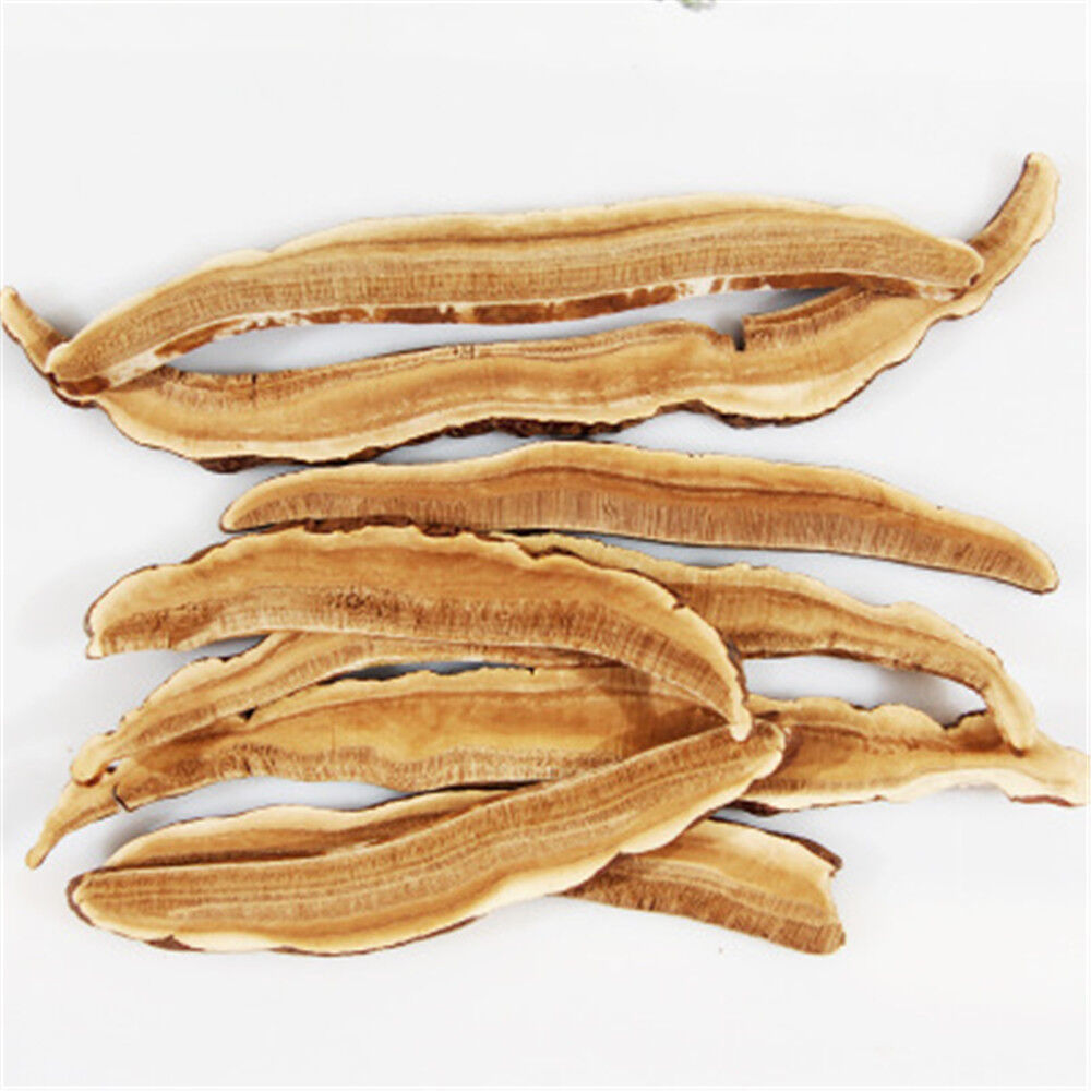 dried ganoderma lucidum ganoderma mushroom ganoderma lucidum slices herbs 8.8oz Secondary image