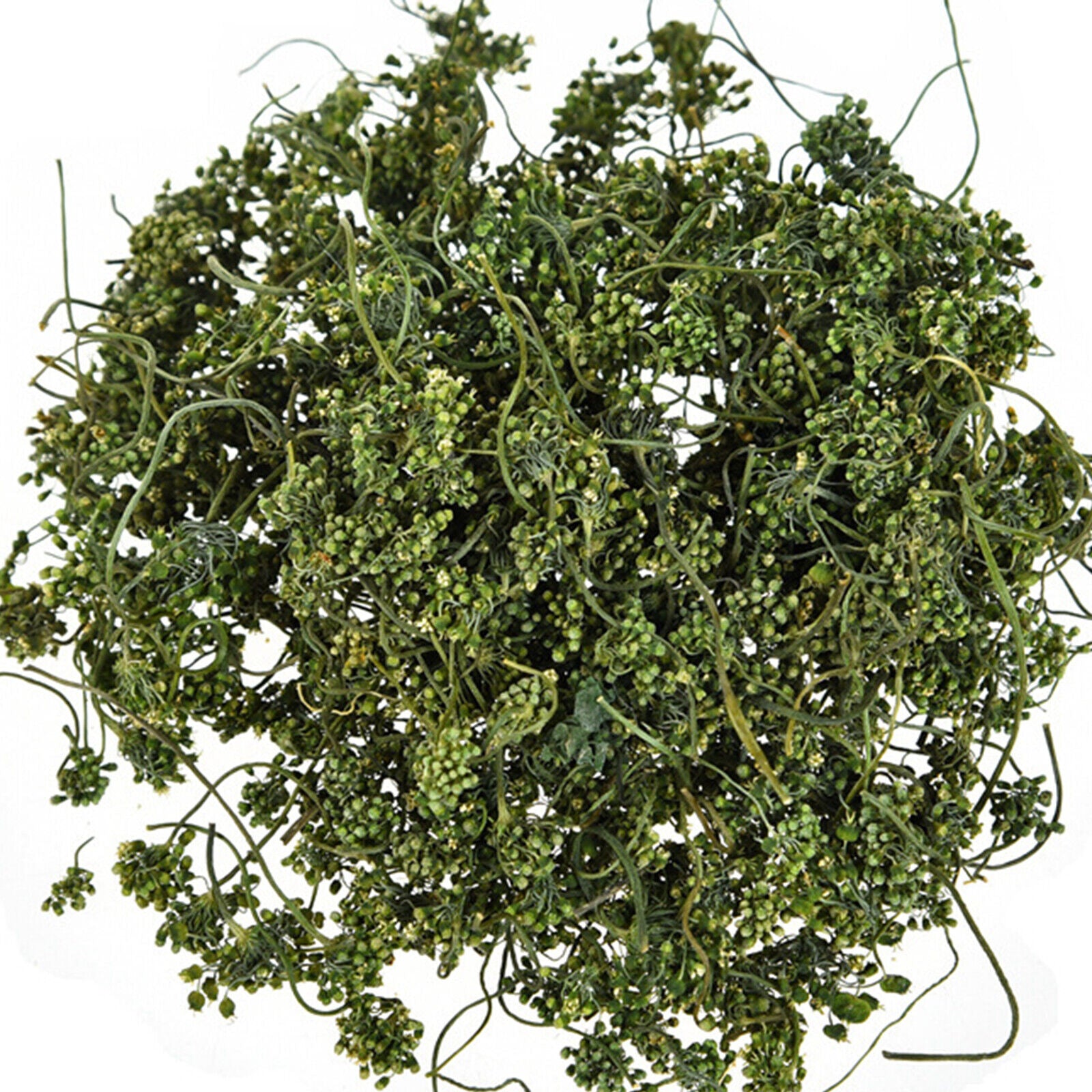 125g Ginseng Flower Herbal Tea Pure Nature Herbs Drink China Dried Panax Ginseng Secondary image