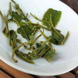 Fresh Maojian Tea 250g Xinyang Mao Jian Green Tea for Weight Loss Gift Pack