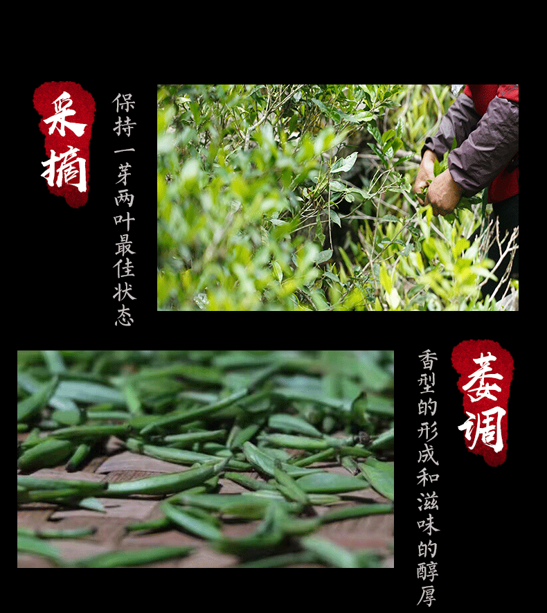 TeaOrganic Jin Jun Mei Golden Eyebrow Wuyi Black Tea 500g Jinjunmei Red Tea Junmee