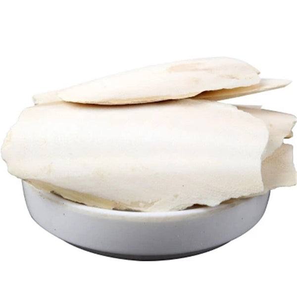 Cuttlebone Cuttlefish Brown Bone Cutting Fish Bird Food Calcium Pickstone