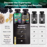Sea Moss & Shilajit (Black Seed Oil, Turmeric, Ashwagandha, Ginger, Vitamin D)