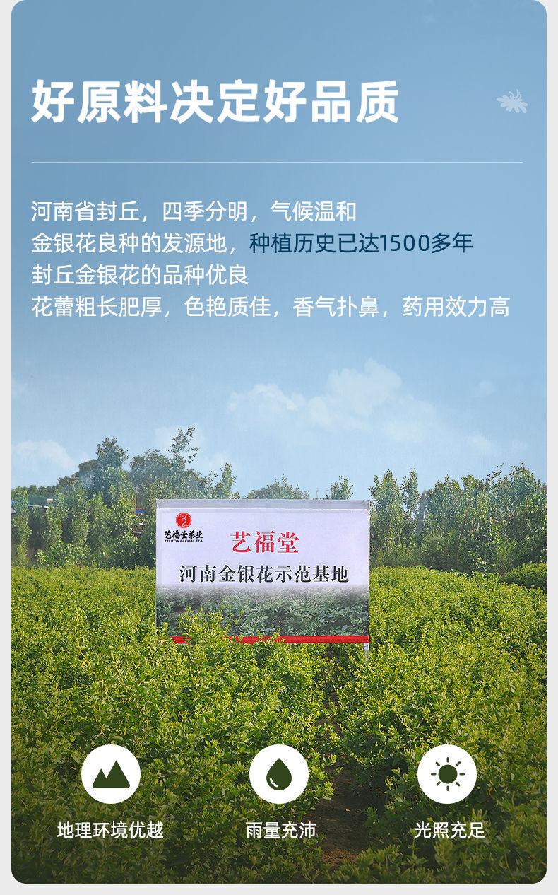 EFUTON 60g Organic Honeysuckle Loose Buds Herbal Tea Jin Yin Hua