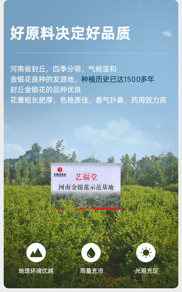 EFUTON 60g Organic Honeysuckle Loose Buds Herbal Tea Jin Yin Hua