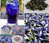 Premium Dried Organic Butterfly Pea Flower Tea