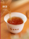 Wuyi Star Rou Gui Rougui Oolong Tea Fujian Wuyi Mountain Rock Tea Yan Cha 100g