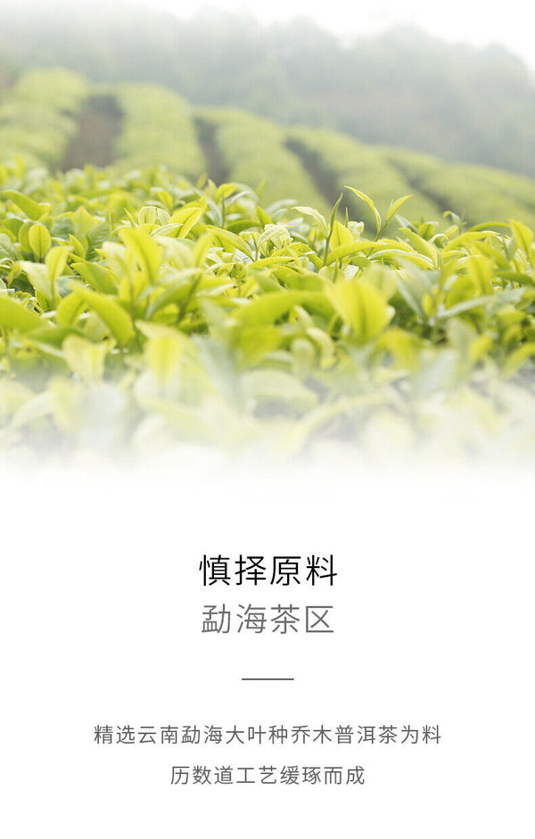 "Jiao Yang" Haiwan Old Comrade Blazing Sun Ripe Puerh Shu Puer Tea 357g
