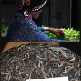 Haiwan Pa Sha Ancient Tree Raw Puer Tea Aged Tree Sheng Puerh Tea 500g