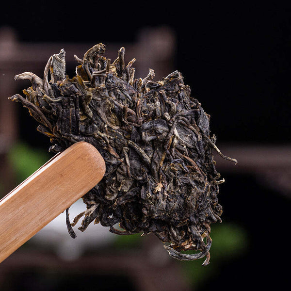 Thé de printemps Bulang grand arbre thé pu-erh cru gâteau thé Pu-erh  357g