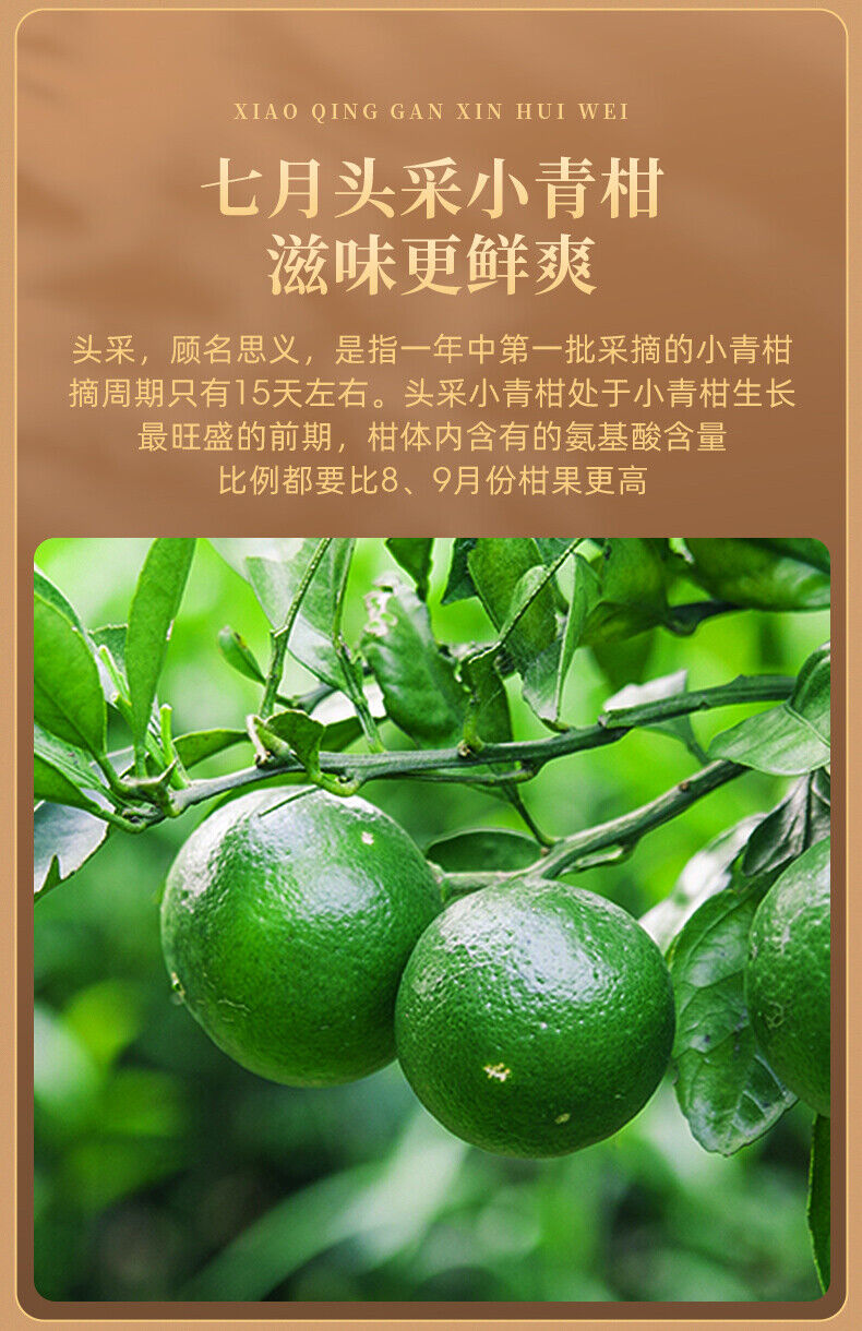 EFUTON Brand Chenpi Orange Pu'er Yunnan Pu-erh Tea Stuffed Tangerine Ripe 230g