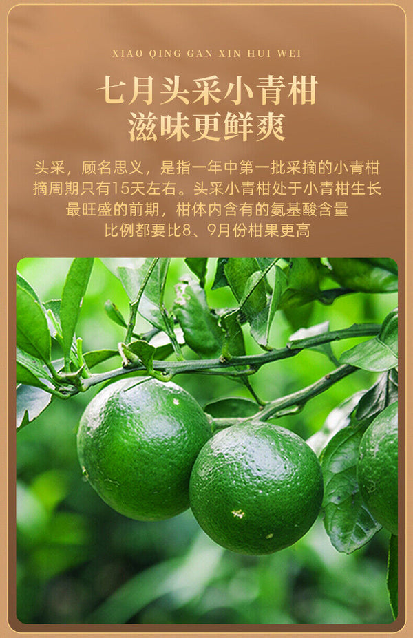 EFUTON Brand Chenpi Orange Pu'er Yunnan Pu-erh Tea Stuffed Tangerine Ripe 230g