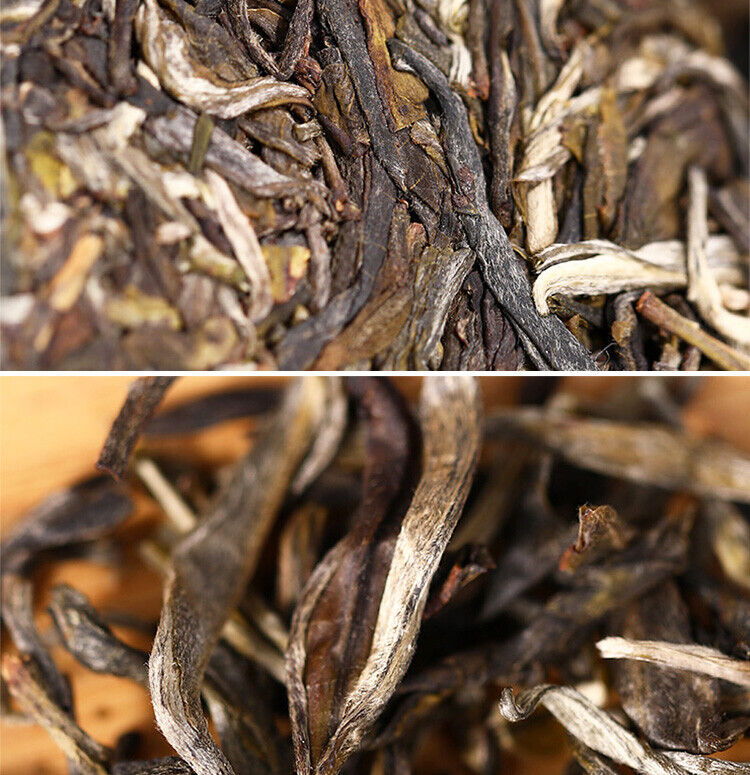 Haiwan Zhang Jia San Dui Puer Raw Tea Bulang Famous Mountain Aged Tree 500g