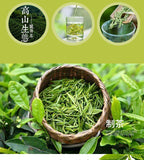 Yuqian Spring Xihu LongJing Tea Fresh Dragon Well Long Jing Green Tea 250g