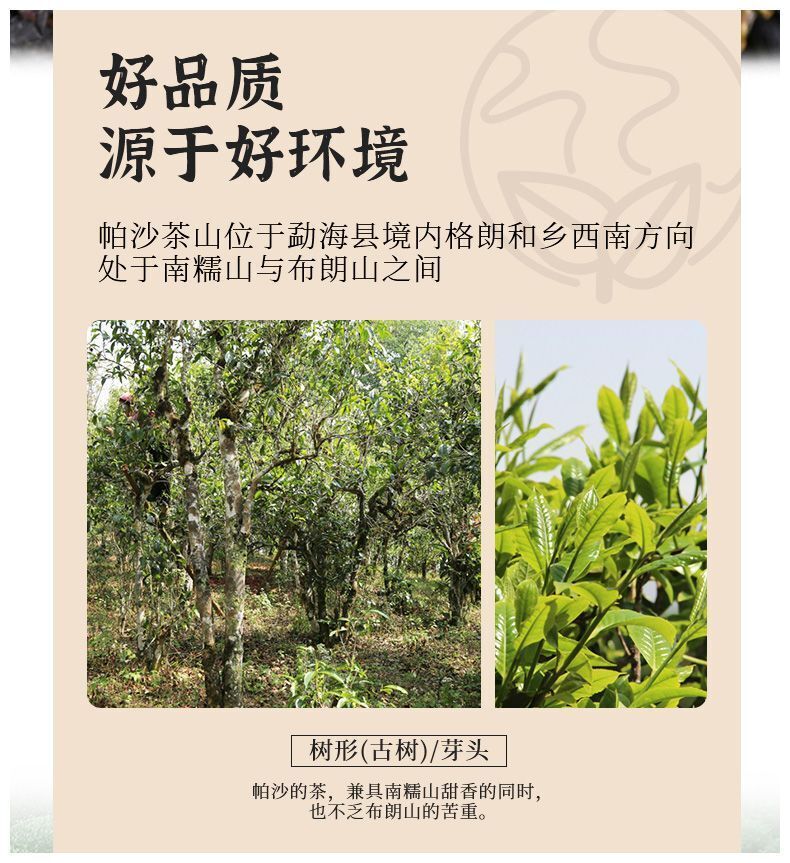 Haiwan Famous Mountain Aged Tree Raw Puer PaSha Gu Shu Old Pu'er Tea 500g