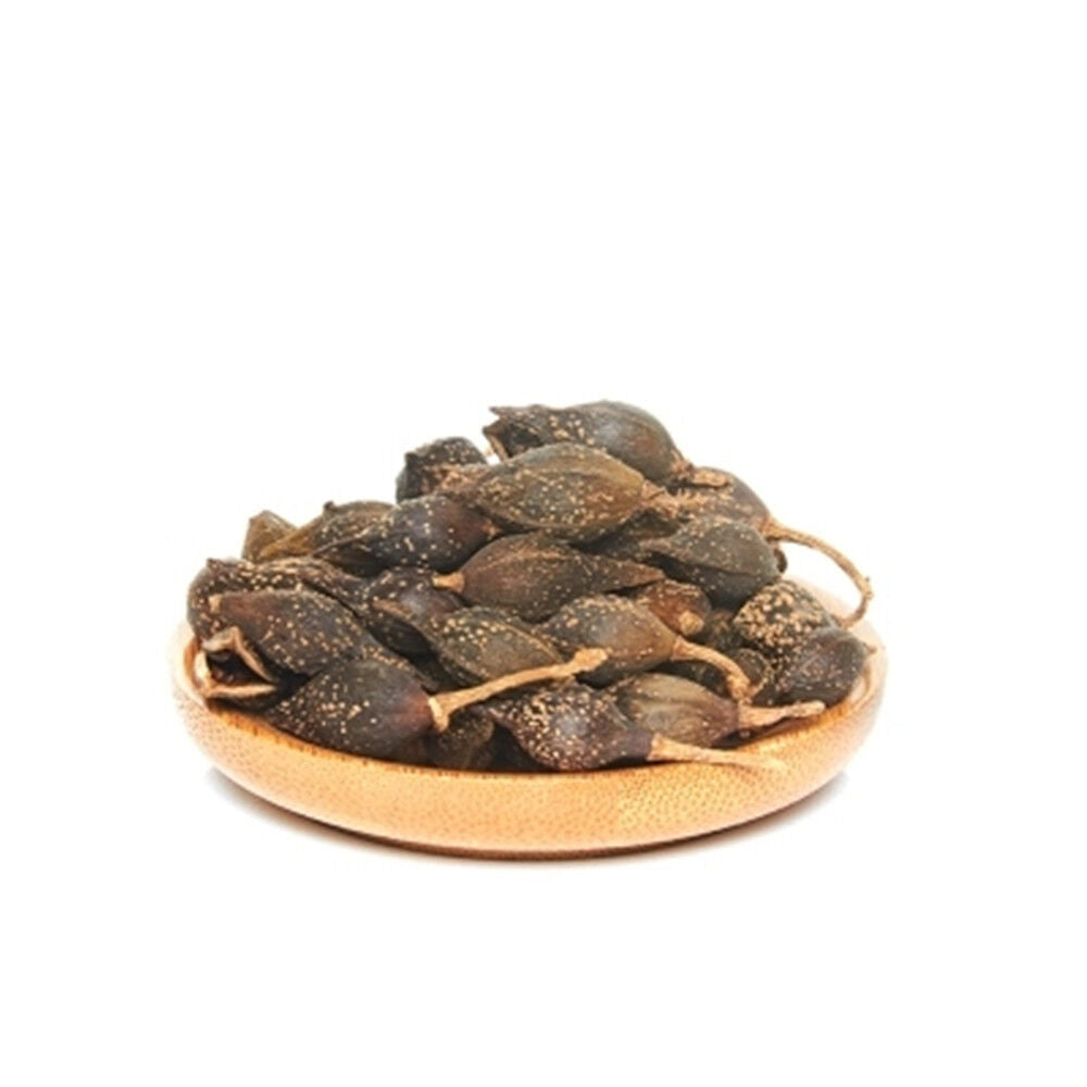 100% natural dried herb Poria Lian Qiao Fructus Forsythiae aromatic Chinese herb Main image