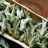 250g Raw Puer Tea, Yunnan White Bud Pu-erh Tea