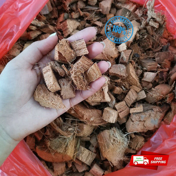 Organic Coconut Husk Chips 1-2cm Husk fiber Orchids Anthodium Growing Medium