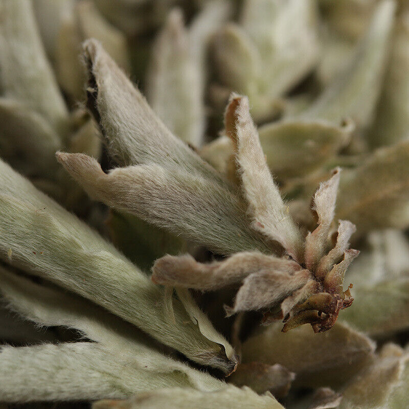 Yunnan White Buds Pu-erh Tea Raw Puer YABAO Bai Ya Bao Shen Puerh Loose Leaf Secondary image