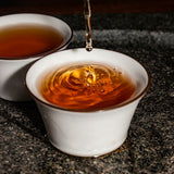 318g Top Baishaxi Classic 1953 Fucha Dark Tea Yu Pin Fu Tea Brick Tea